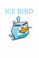 97440_oboi_ice_bird.