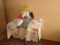 97494_Foto-0104.