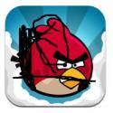 97494_angry-bird.