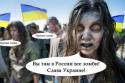 97543_Vy_vse_zombi.