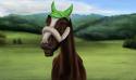 97588_New_Ccan5555c1ccvas.