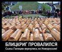 97627_syny_galicii_vernulis.