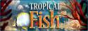 9762Tropical_Fish_3D_Screensaver.
