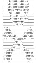 976654165.
