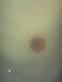 97702_04-07-2012.