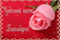 97710_60046_270939c4_L.