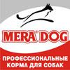9777ava_oxana.