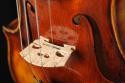 97780_violin-shop.