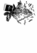 98086_bestchxjik9.