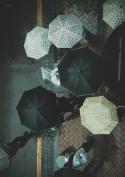 98233_ASGTlM0V9PI.