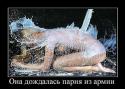 98293_kUoFm8ynCHc.