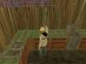 9837_brew4.