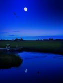98462_tumblr_mlr53ypBuR1qargfho1_500.