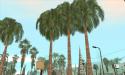 9863_DLC_HQ_palms_1er_prototype_001.