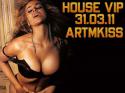 9871301573891_house_vip_31.