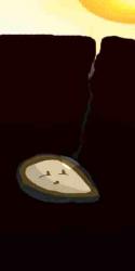 98848_seed.