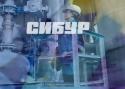 98942_sibur-logo-796936.