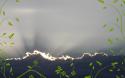 98953_u793_3537_serie_oblakva_wide.