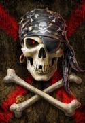 9900pirate_skull_annestokes_t2.