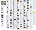 99016_PRINTedit.