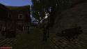 99231_PIC75.