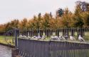99282_oct-8.