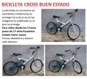 99331_Bicicleta_cromada.