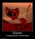 9937284832_kokain.