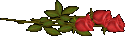 994361836222_raz20.