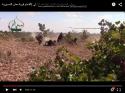 99487_Hama__Conquest_Army_fighters_in_a_field_near_Maan_village__Clashes__AjnadSham_-01.