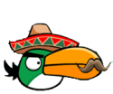 9948_mexican_Boomerang_Bird.