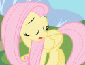 9952fluttershy_shy01_display.