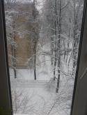 9953P1010175.