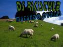 9958DJRIKISTYLEMATANDOOVEJAS.