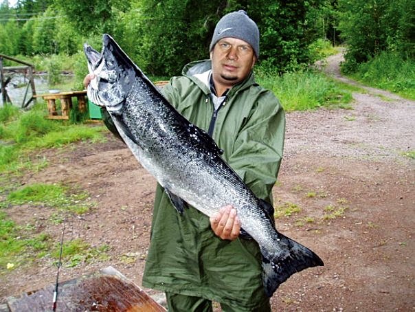 ловил форель в карелии ловил форель в карелии