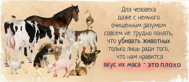 28835_eLvANliMQgU.jpg