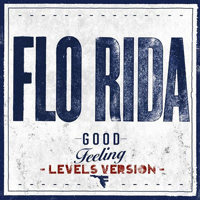 Flo Rida feat. Avicii - Good Feeling (Levels Version) (Dark Intensity Remix).mp3