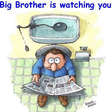 38Big_brother.jpg