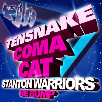 Tensnake - Coma Cat (Stanton Warriors Re Bump).mp3