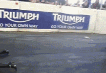 44229_4.gif