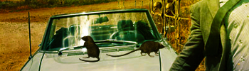 http://www.pictureshack.ru/images/46687_Joseph_Gordon_Levitt_podp.png
