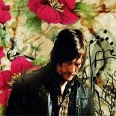 http://www.pictureshack.ru/images/88558_av-3-Norman-Reedus.gif