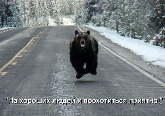 Размещенное изображение