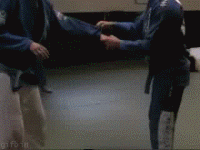9653_2.gif