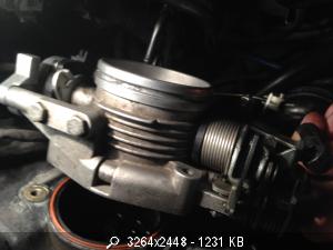 29377_IMG_0780.JPG