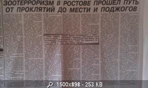 Опубликованное фото