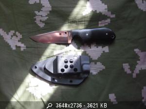 444_IMG_9502.JPG