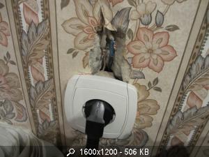 5156_IMG_0206.JPG