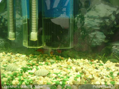 Картинка с форума