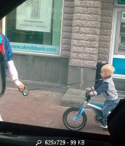 Размещенное изображение